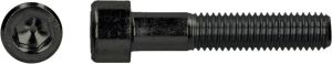 Pgb-Europe PGB-FASTENERS | BZK schroef 8.8 VD ISO4762 M 8x10 | 200 st 912800008000103