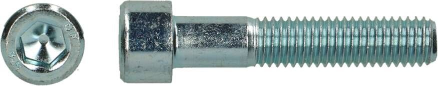 Pgb-Europe PGB-FASTENERS | BZK schroef 8.8 VD ISO4762 M 8x30 Zn | 200 st 912801008000303