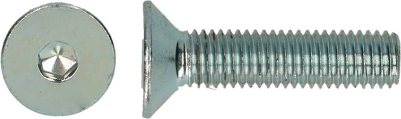 Pgb-Europe PGB-FASTENERS | BZK-schroef VK 10.9 GD D. 7991 M 3x25 Zn | 500 st 7991101003000250