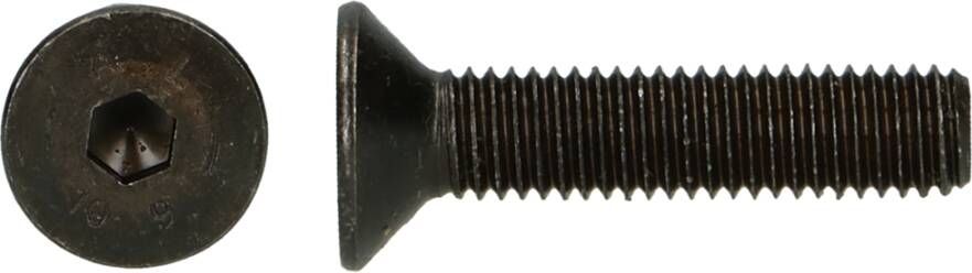 Pgb-Europe PGB-FASTENERS | BZK-schroef VK 10.9 GD D. 7991 M 6x35 | 200 st 7991100006000350