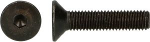 Pgb-Europe PGB-FASTENERS | BZK-schroef VK 10.9 VD D. 7991 M12x20 | 100 st