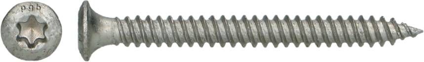 Pgb-Europe PGB-FASTENERS | Dakschroef VZK T25 Ø 4 80x100 MAGNI | 500 st 0DSSVT015004801003