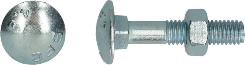 Pgb-Europe PGB-FASTENERS | Houtbout 4.8 DIN 603 555 M 10x120 Zn | 25 st 603001010001204