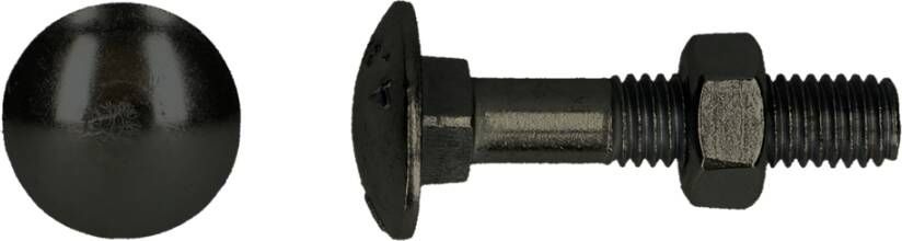 Pgb-Europe PGB-FASTENERS | Houtbout 4.8 DIN 603 555 M 8x70 DCB | 100 st 603003008000703