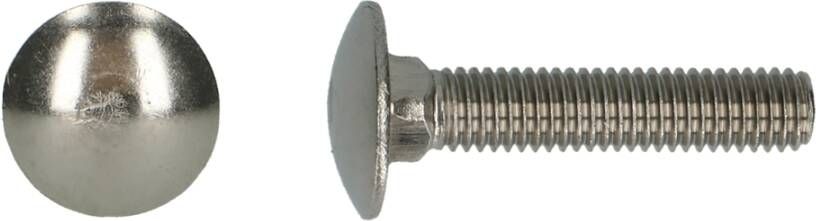 Pgb-Europe PGB-FASTENERS | Houtbout A2 DIN 603 M10x100 | 50 st 000603A00010001003