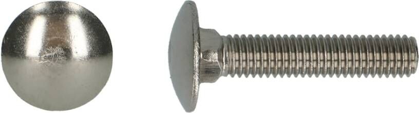 Pgb-Europe PGB-FASTENERS | Houtbout A2 DIN 603 M8x100 | 50 st 000603A00008001003