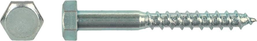 Pgb-Europe PGB-FASTENERS | Houtdraadbout DIN 571 Ø 10 00x100 Zn | 50 st 571001010001004