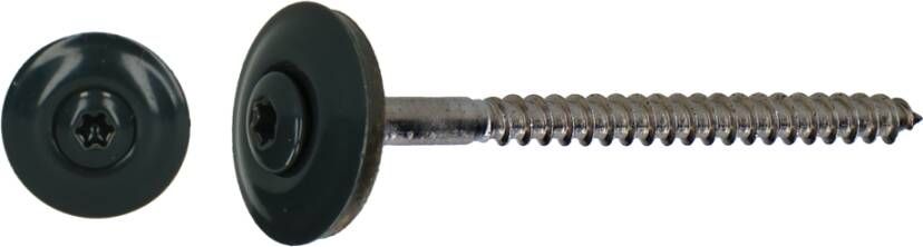 pgb-Europe PGB-FASTENERS | Houtschroef D7995+EPDM20 4 5x45 R7016 A2 | 100 st