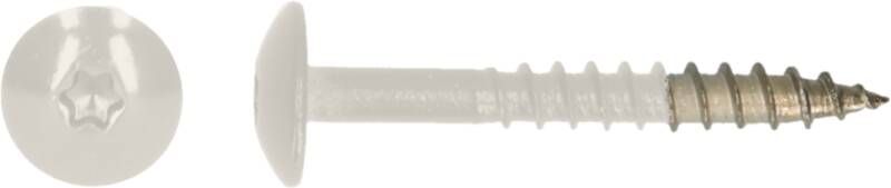 Pgb-Europe PGB-FASTENERS | HPL schroef Tx20 4 8x32 R9010 A4 TRESP0A00032090103