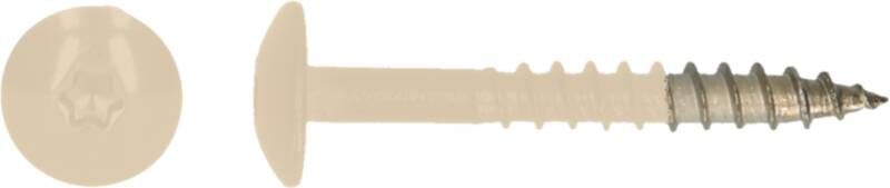 Pgb-Europe PGB-FASTENERS | HPL schroef Tx20 4 8x38 R1015 A4 TRESP0A00038010153