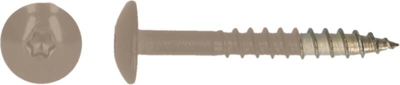 Pgb-Europe PGB-FASTENERS | HPL schroef Tx20 4 8x38 R1019 A4 TRESP0A00038010193