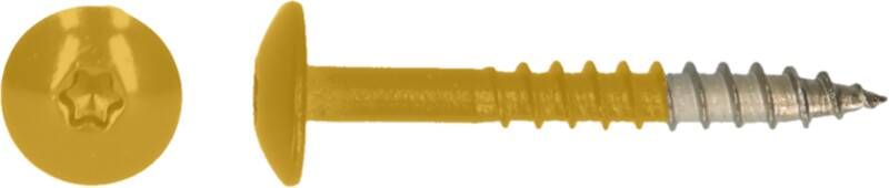 Pgb-Europe PGB-FASTENERS | HPL schroef Tx20 4 8x38 R1032 A4 TRESP0A00038010323