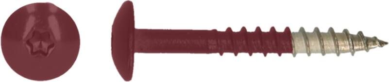 Pgb-Europe PGB-FASTENERS | HPL schroef Tx20 4 8x38 R3004 A4 TRESP0A00038030043