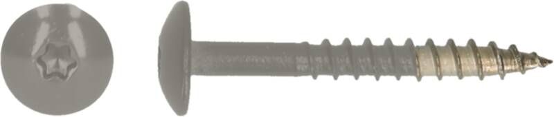Pgb-Europe PGB-FASTENERS | HPL schroef Tx20 4 8x38 R7030 A4 TRESP0A00038070303