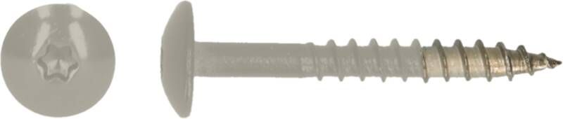 Pgb-Europe PGB-FASTENERS | HPL schroef Tx20 4 8x38 R7032 A4 TRESP0A00038070323