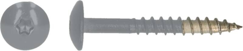 Pgb-Europe PGB-FASTENERS | HPL schroef Tx20 4 8x38 R7045 A4 TRESP0A00038070453