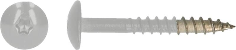 pgb-Europe PGB-FASTENERS | HPL schroef Tx20 4 8x38 R7047 A4