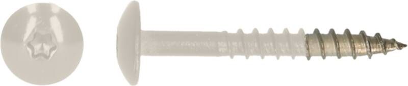 Pgb-Europe PGB-FASTENERS | HPL schroef Tx20 4 8x38 R9001 A4 TRESP0A00038090013