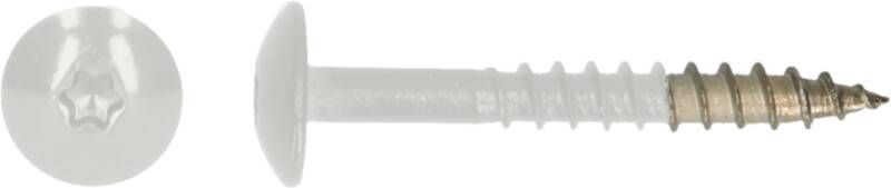 Pgb-Europe PGB-FASTENERS | HPL schroef Tx20 4 8x38 R9003 A4 TRESP0A00038090033