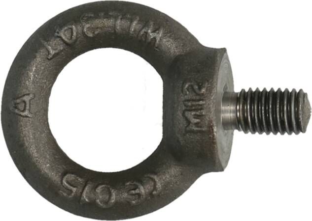 Pgb-Europe PGB-FASTENERS | Oogbout C15E DIN 580 M 6 | 100 st 58000000603