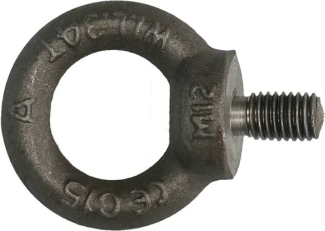 pgb-Europe PGB-FASTENERS | Oogbout C15E DIN 580 M 6 | 100 st 58000000603