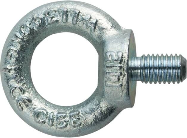 Pgb-Europe PGB-FASTENERS | Oogbout C15E DIN 580 M 8 Zn | 50 st 58000100803