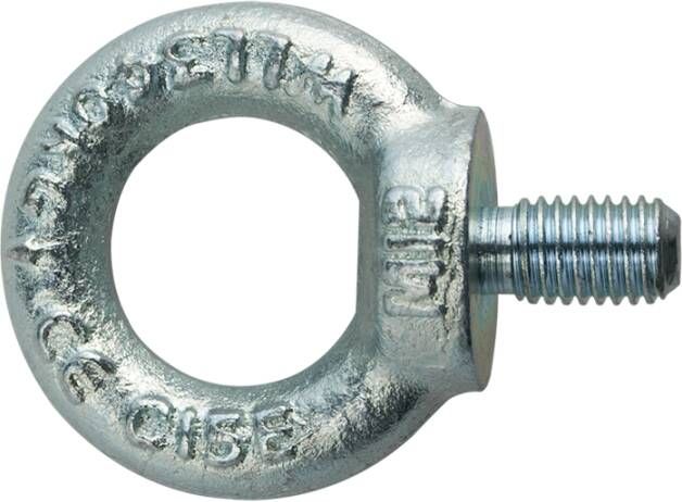 Pgb-Europe PGB-FASTENERS | Oogbout C15E DIN 580 M16 Zn | 25 st 58000101603