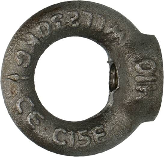 Pgb-Europe PGB-FASTENERS | Ringmoer C15E DIN 582 M 6 | 50 st 58200000603