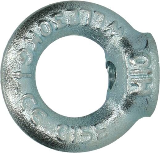 Pgb-Europe PGB-FASTENERS | Ringmoer C15E DIN 582 M 6 Zn | 50 st 58200100603