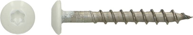 Pgb-Europe PGB-FASTENERS | Schr. vr Rockpanel Tx20 4 5x35 R9010 A4 RCKPNLB00035090103