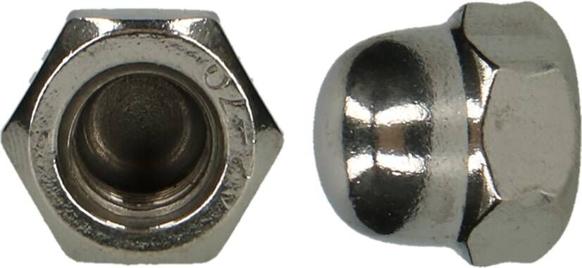 Pgb-Europe PGB-FASTENERS | Zeskant dopmoer DIN 1587 M 3 A2 | 200 st 001587A0000303