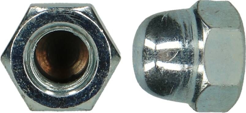 pgb-Europe PGB-FASTENERS | Zeskant dopmoer DIN 1587 M 3 Zn | 200 st 158760100303