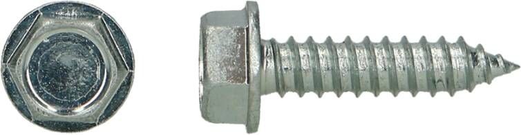Pgb-Europe PGB-FASTENERS | Zeskant plaatschroef D.6928C Ø 4 80x32 Zn 6928001004803200