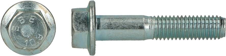 pgb-Europe PGB-FASTENERS | Zeskantflensbout 8.8 DIN 6921 M 6x12 Zn | 500 st 6921801006000120