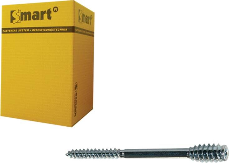 Pgb-Europe SMART | Afstandschroef T-drive T25 Ø 6x250 Zn | 25 st SM0SSC0010602503