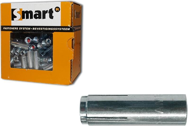 Pgb-Europe SMART | Inslaganker SMART IA M10x40 Zn | 25 st SM00IA001100040E