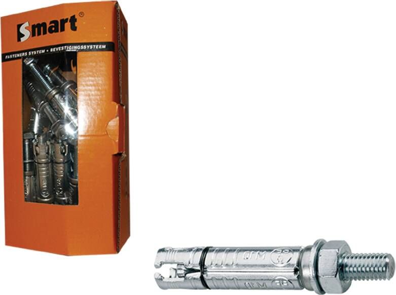 pgb-Europe SMART | Keilbout SMART+ankerstang M10x10x80 Zn | 15 st SM000K001100080E