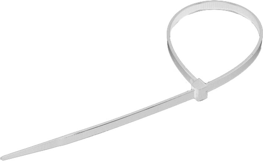 Pgb-Europe SMART | nylon kabelband 7 6x540 wit SMCTIEN00076540W5