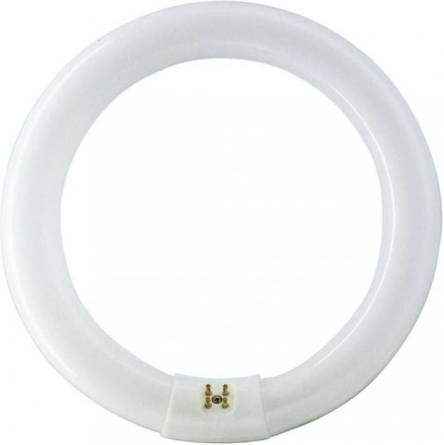 Philips Ronde TL 22W 840 TLE coolwhite 5900609