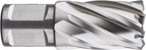 Rotec HSS Kernboor SILVER-LINE weldon 19 ø22x110 536.2300W