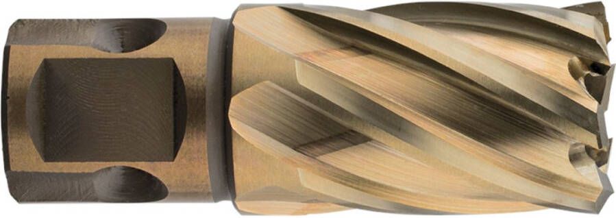 Rotec HSS-XE Kernboor GOLD-LINE universeel 19 ø12x30 5371200 537.1200 - Foto 1