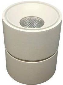 V-Tac Opbouw downlighter verstelbaar 10W LED wit 36gr 5013480