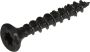 Blackline Tuinbeslagschroef Ar-Coating Ovk Zwarte Kop Torx TX30 6.0X40 | 30 stuks 6904.30.86040 - Thumbnail 5