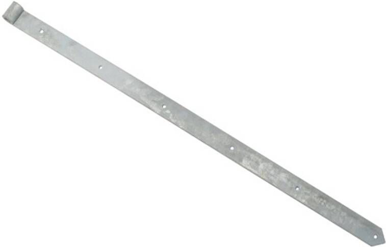 Waelbers Heng 20-600mm met punt thermisch verzinkt (FV) p.2st 2 Stuk(s) 570083.41