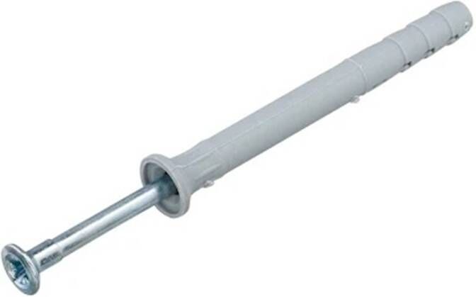 Waelbers HOMEFIX NAGELPLUG 6X60 (6 x 6 st) 950239.43