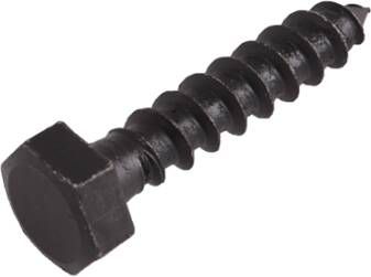 Blackline Slotbout+Moer+Sluitring Hcp Zwart M6X40 | 5 stuks 6901.11.16040