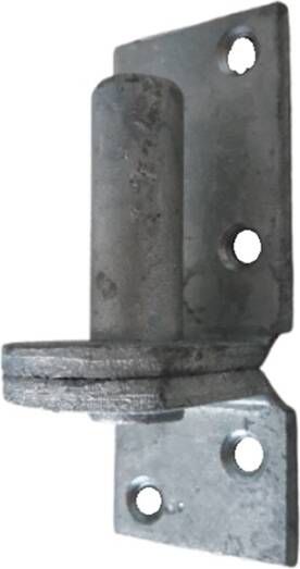 Waelbers Plaatduim 16 D1 thermisch verzinkt (FV) 10 Stuk(s) 8103.44