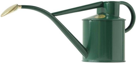 Koeman Flowerbulbs 1L Binnengieter kleur Groen Haws