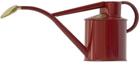 Koeman Flowerbulbs 1L Binnengieter kleur Robijn Haws