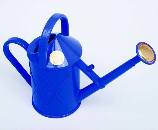 Koeman Flowerbulbs 1L Gieter Blauw Haws